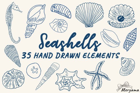 Capturing Coastal Charm: Hand Drawn Summer Seashell Illustrations