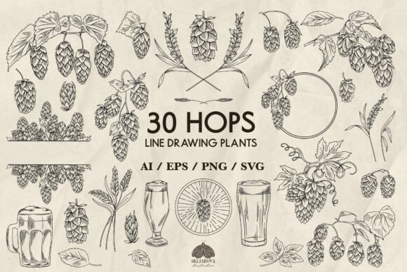 Crafting Visual Stories: The Hops Plant Line Art Collection