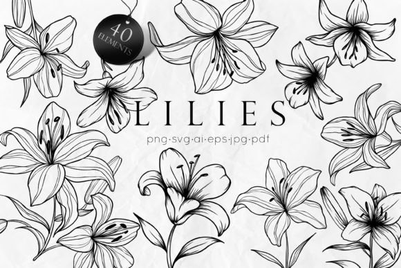 Designing with Nature: The Versatility of Lily Line Art