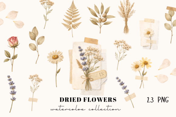 Dried Flowers Watercolor Collection: A Botanical Design Asset