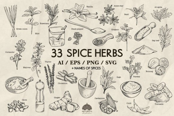 Spices and Kitchen Herbs: Hand-Drawn Illustrations for Creative Projects